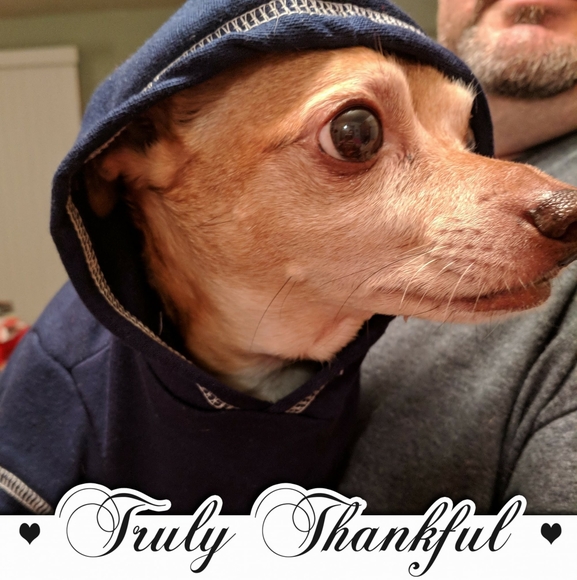 tiffiej